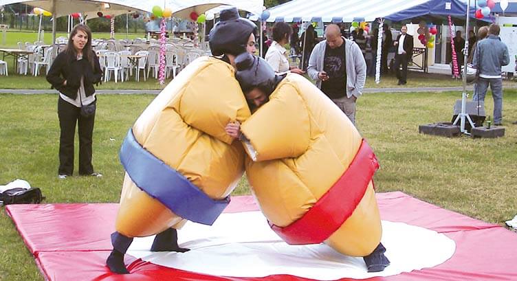 sumo adulte