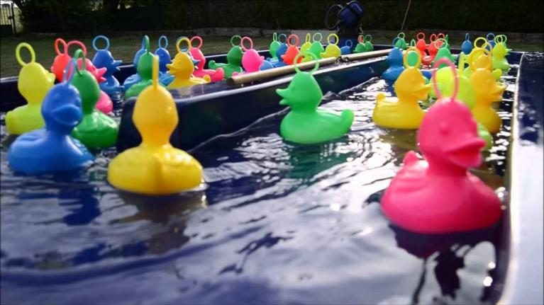 Pêche aux canards