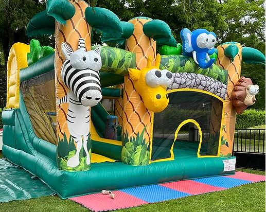 Château safari