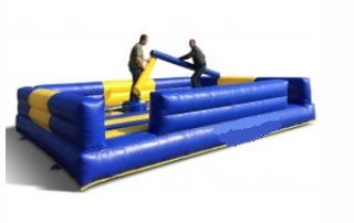 Combat de joutes
